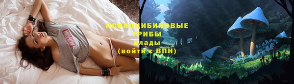 наркотики Алексеевка