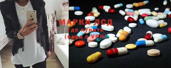 spice Алзамай