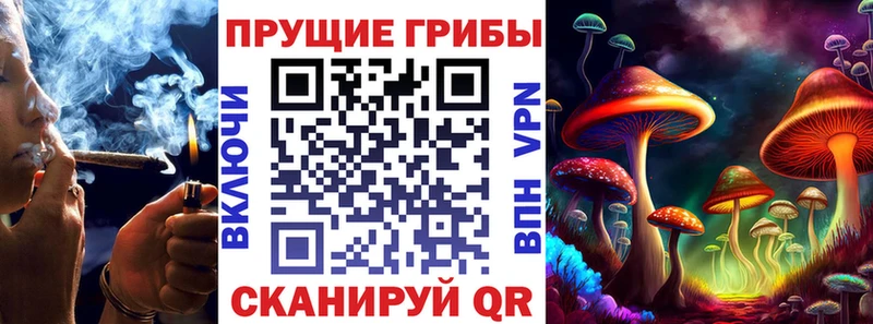 хочу   Амурск  Псилоцибиновые грибы Psilocybine cubensis 